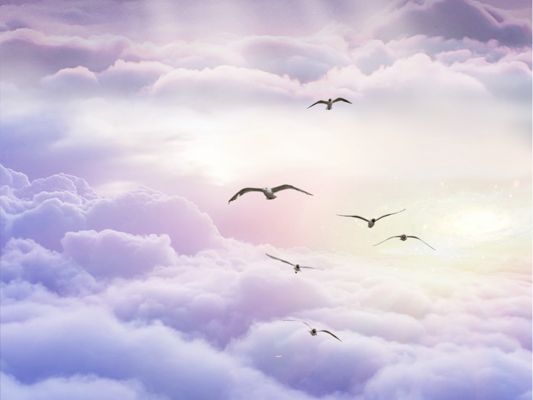 中国·388vip太阳集团(Macau))有限公司-官方网站