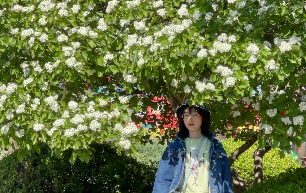 й388vip̫(Macau))޹˾-ٷվ