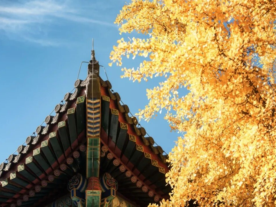 中国·388vip太阳集团(Macau))有限公司-官方网站