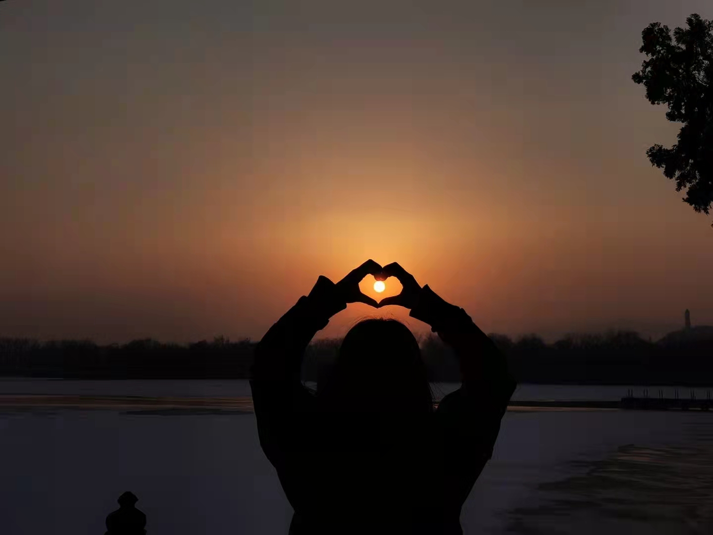 й388vip̫(Macau))޹˾-ٷվ