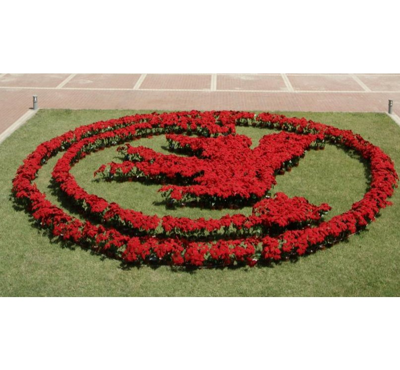 中国·388vip太阳集团(Macau))有限公司-官方网站